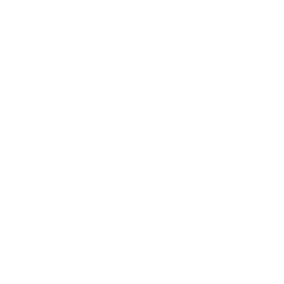 COSMO logo