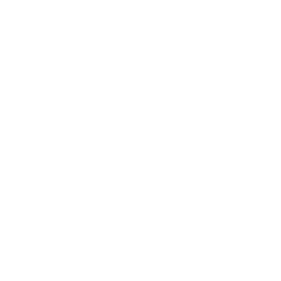 Nlyte NAO logo
